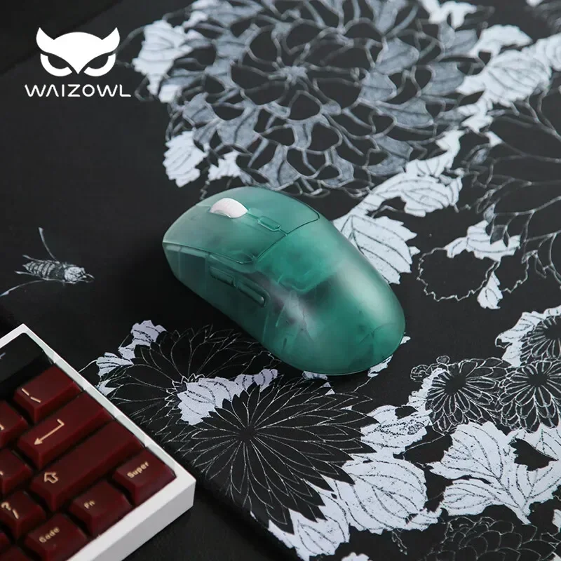 Waizowl OGM Pro Wireless Mouse - đánh giá và giá Laptop Accessories Design